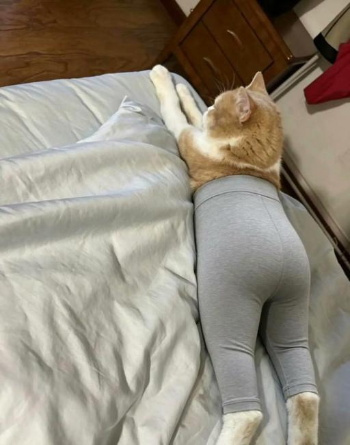 くじテスト